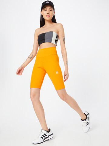 ADIDAS ORIGINALS Skinny Leggings i oransje