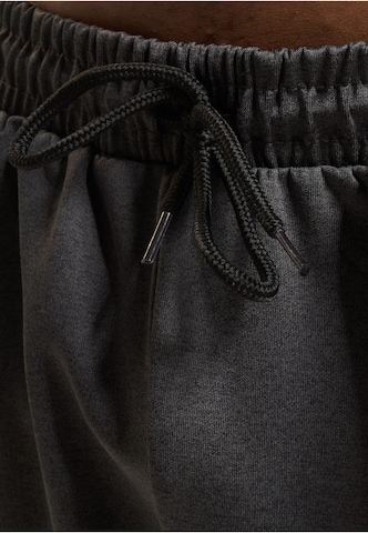 European League of Football Loose fit Sports trousers 'Helvetic Guards' in Grey