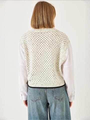 Bianco Lucci Sweater 'Pullover' in Beige