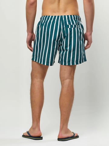 U.S. POLO ASSN. Badeshorts ' UMCharles ' i grøn