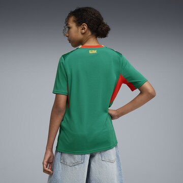 PUMA Functioneel shirt 'Senegal 2026' in Groen