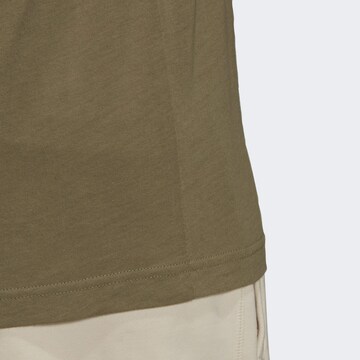 ADIDAS ORIGINALS Shirt 'Adicolor Classics Trefoil' in Groen