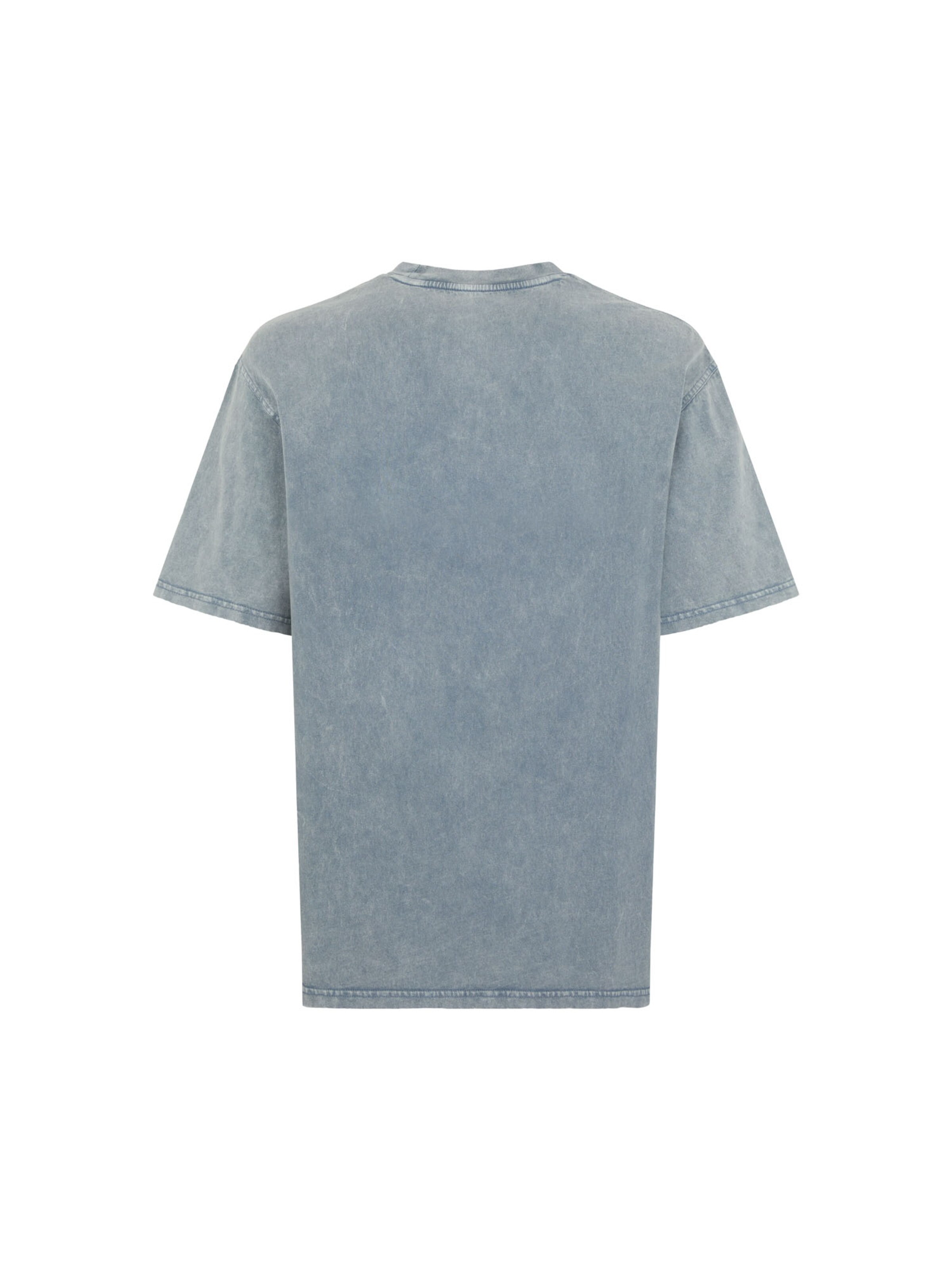 DICKIES Shirt 'Plentywood' in Grijs