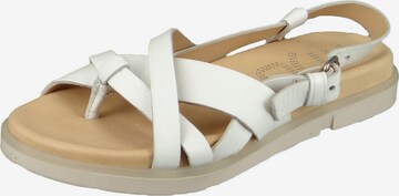 MJUS Sandals in White: front