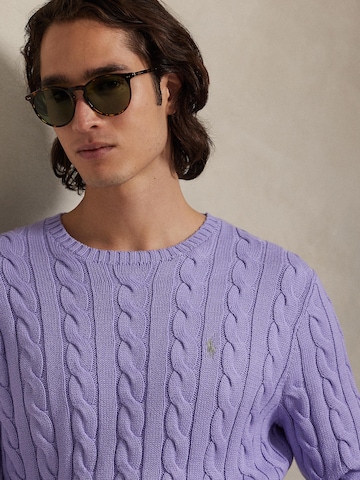 Polo Ralph Lauren Regular fit Sweater 'Driver' in Purple