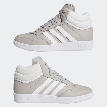 ADIDAS SPORTSWEAR Sneaker 'Hoops 4.0' in Beige