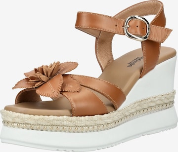 Sandalo di Nero Giardini in marrone: frontale