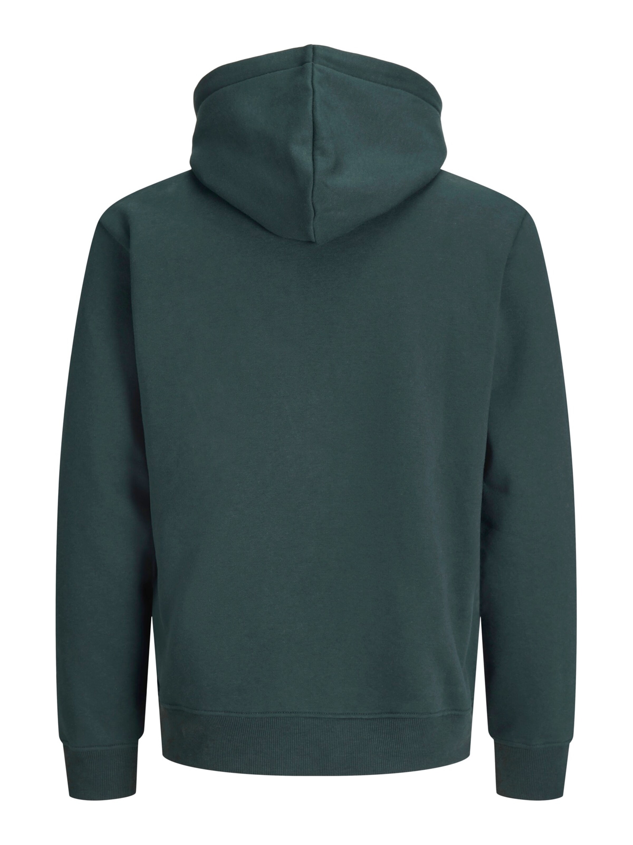 Jack & Jones Plus - Sudadera 'JJJADE' en verde