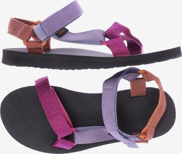 TEVA Sandals & High-Heeled Sandals in 39 in Mixed colors: front