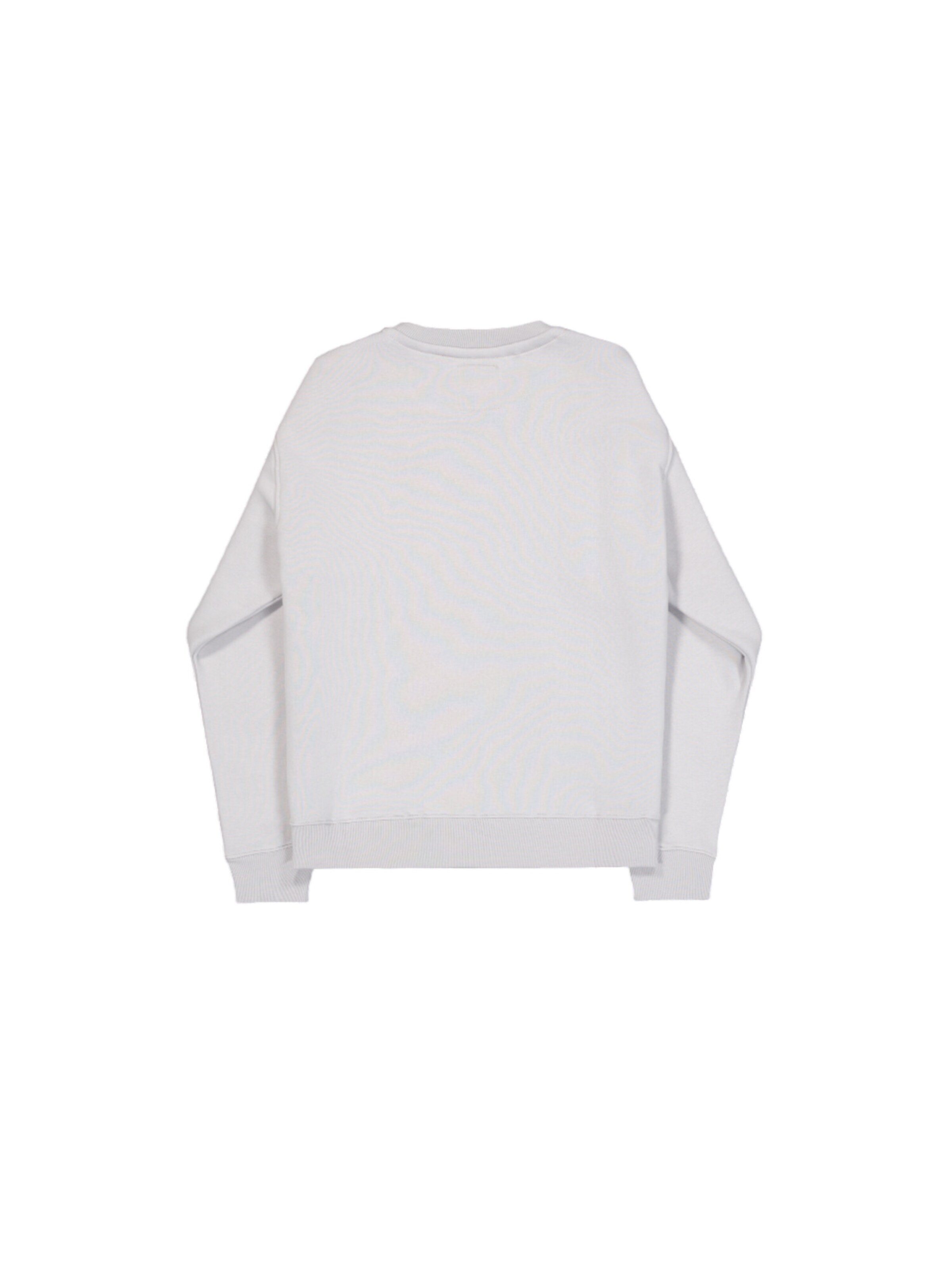 ALPHA INDUSTRIES Sweatshirt 'RP'‌‌‌‌‌‌‌‌‌ in Grau