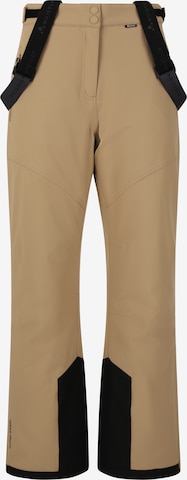 Whistler Workout Pants in Brown: front