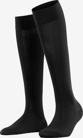 FALKE Kniestrümpfe 'Cotton Touch' in Schwarz: Vorderseite