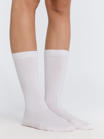 Albero Natur Socks 'Classic' in White