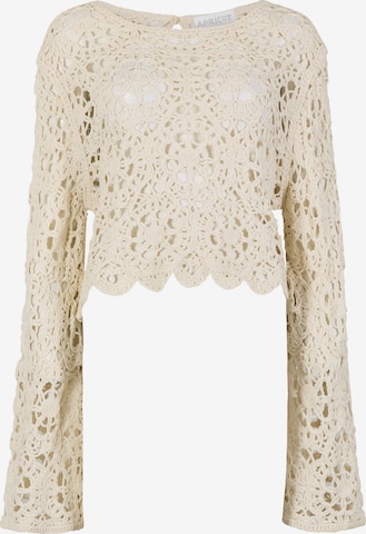 Apricot Boho Floral Cotton Crochet Top ' ' in Grau: Vorderseite