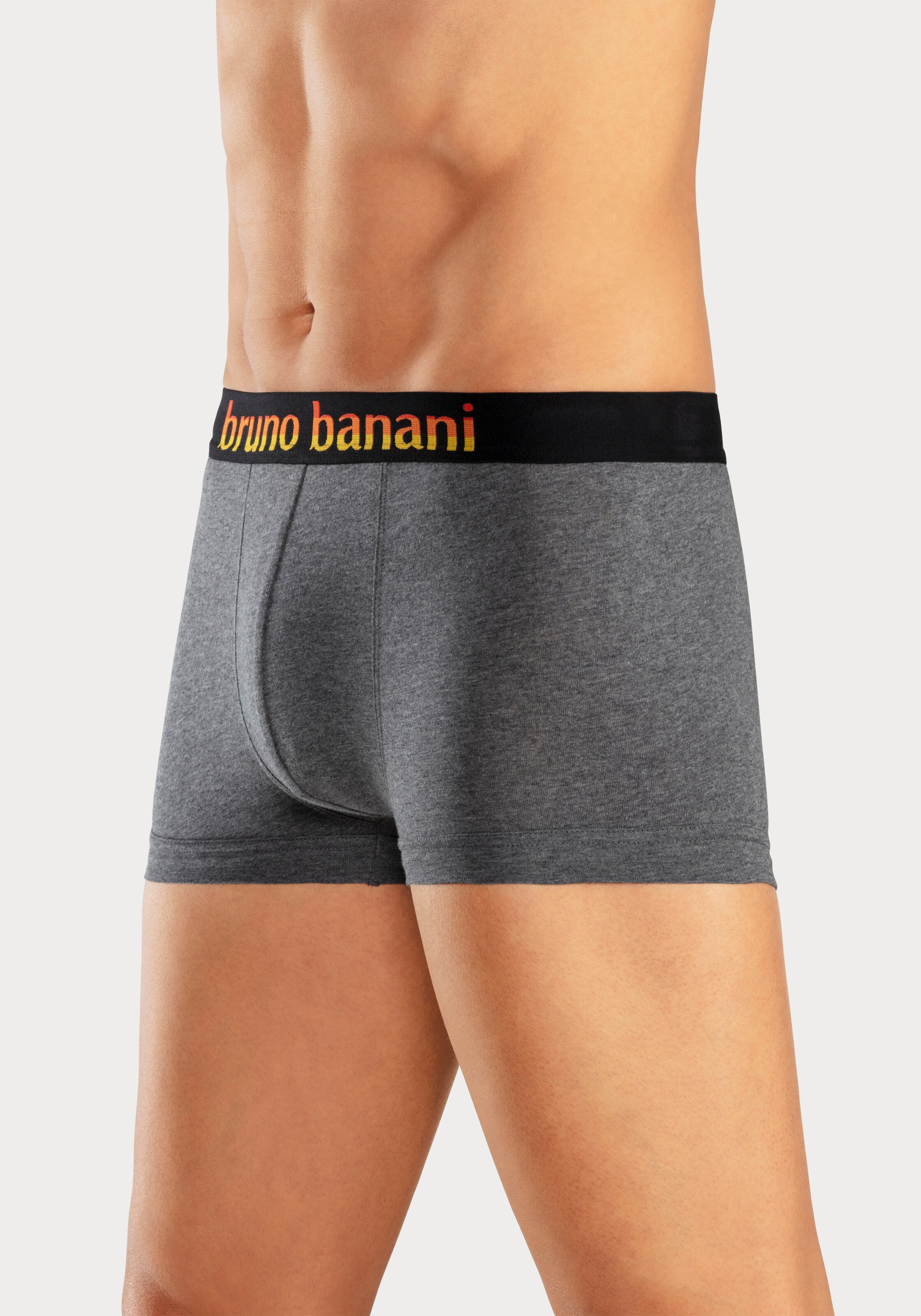 BRUNO BANANI Boxer shorts in Light Grey, Dark Grey, Black | ABOUT YOU