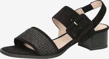 CAPRICE Sandals in Black: front