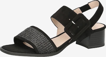 CAPRICE Sandals in Black: front