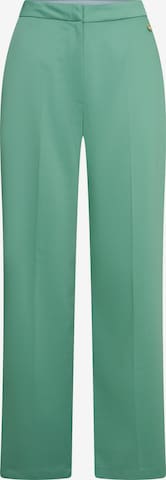 4funkyflavours Wide leg Pleated Pants 'You Will Rise' in Green: front