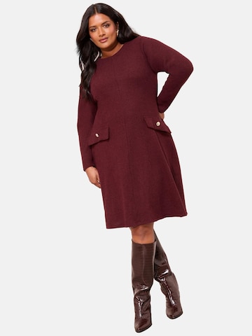 Friends Like These Šaty – červená: přední strana