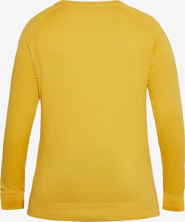 boline Sweater in Yellow