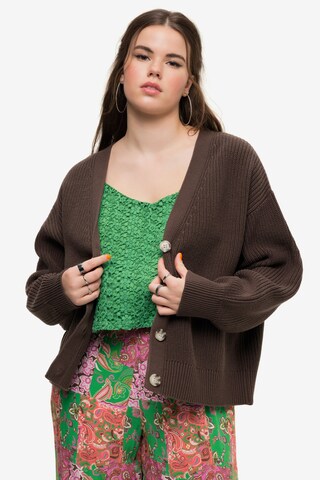 Studio Untold Knit Cardigan in Brown: front