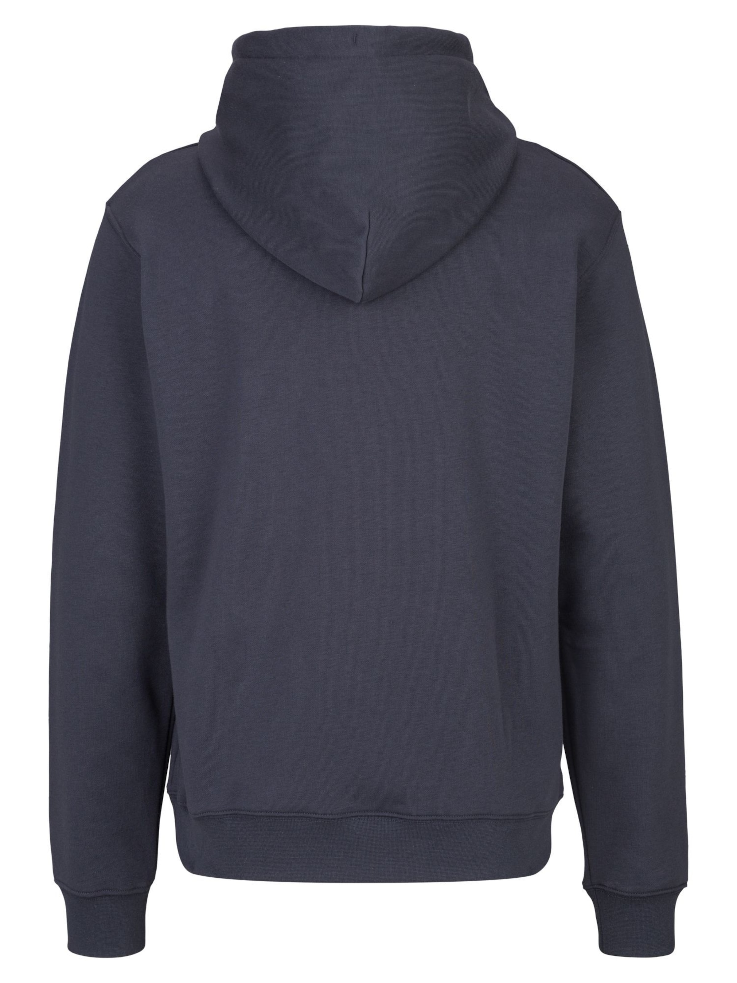 REPLAY Sweatshirt 'French Terry' in Blau