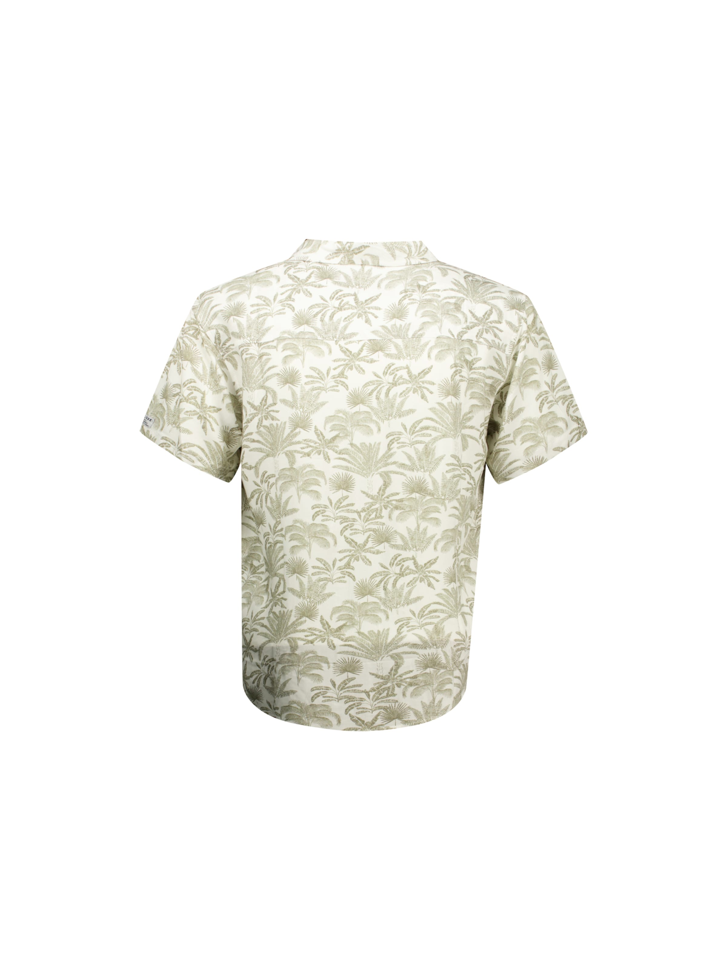 Coupe regular Chemise 'Wilson' Deeluxe en vert
