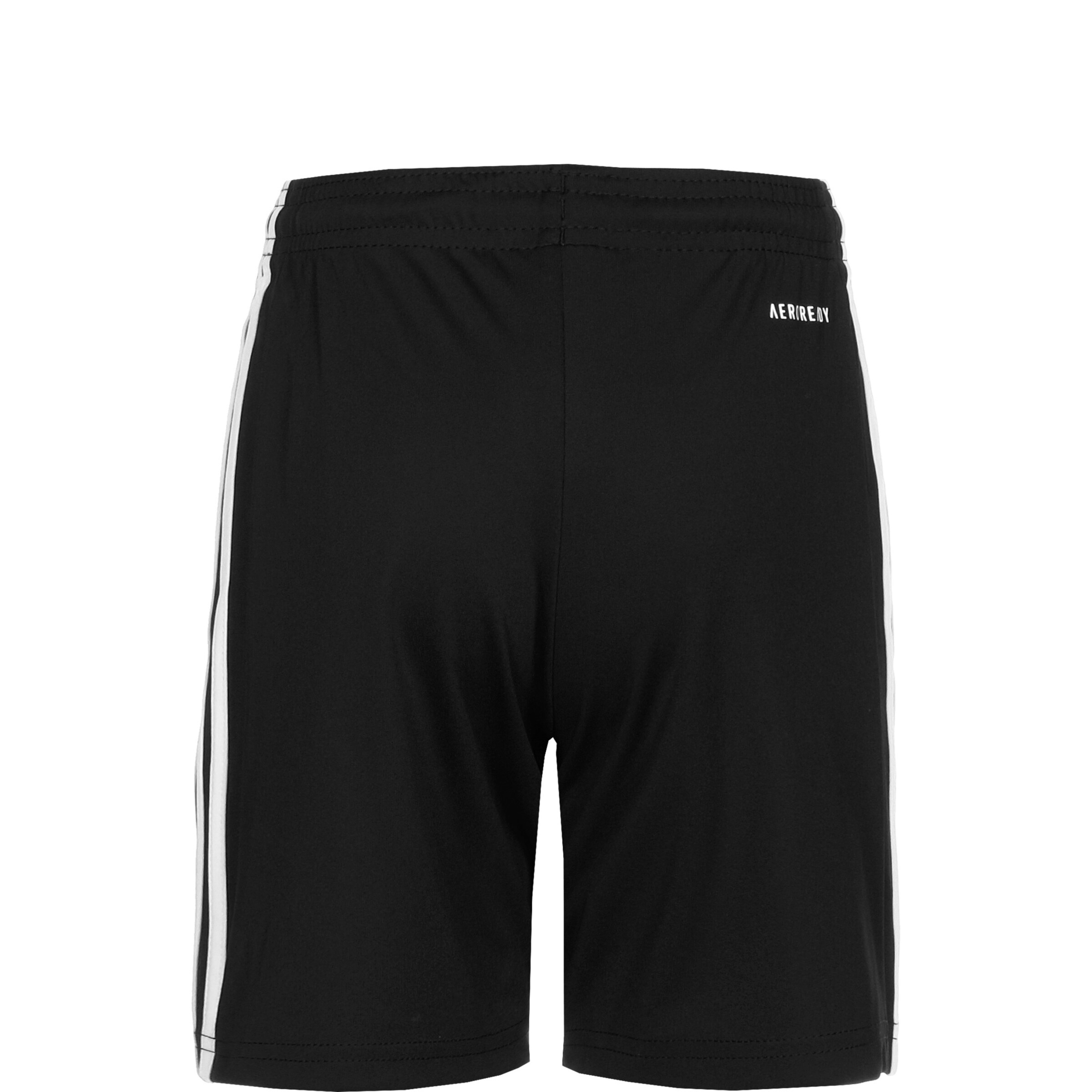 ADIDAS PERFORMANCE Regular Workout Pants 'Squadra 21' in Black