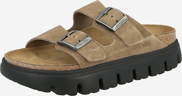 BIRKENSTOCK Pistokkaat 'Arizona' värissä harmaa: etupuoli