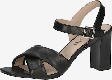 CAPRICE Sandals in Black: front