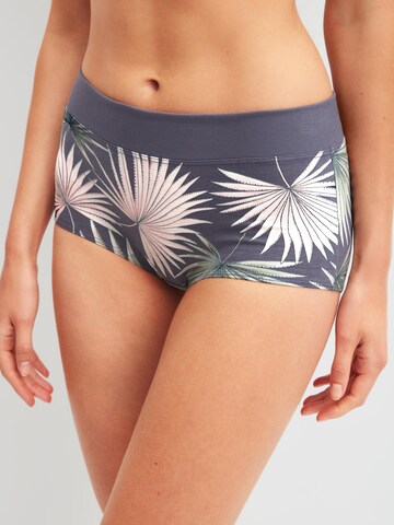 CALIDA Boyshorts 'Elastic Trend Spec.' in Grey