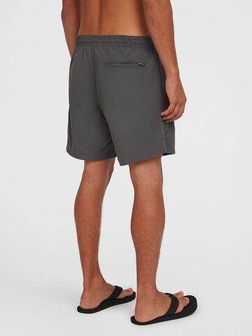 O'NEILL Swimming shorts 'Vert' in Grey