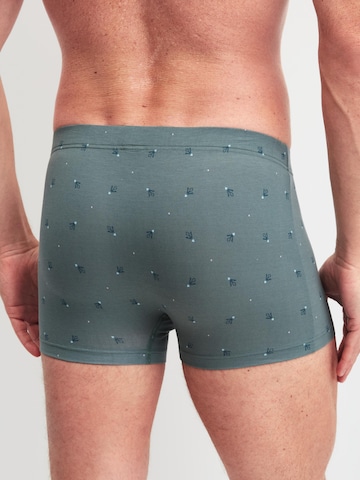 CALIDA Boxer shorts 'Grafic Cotton' in Grey