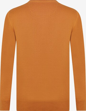 DENIM CULTURE Pullover 'Mathevv' in Orange