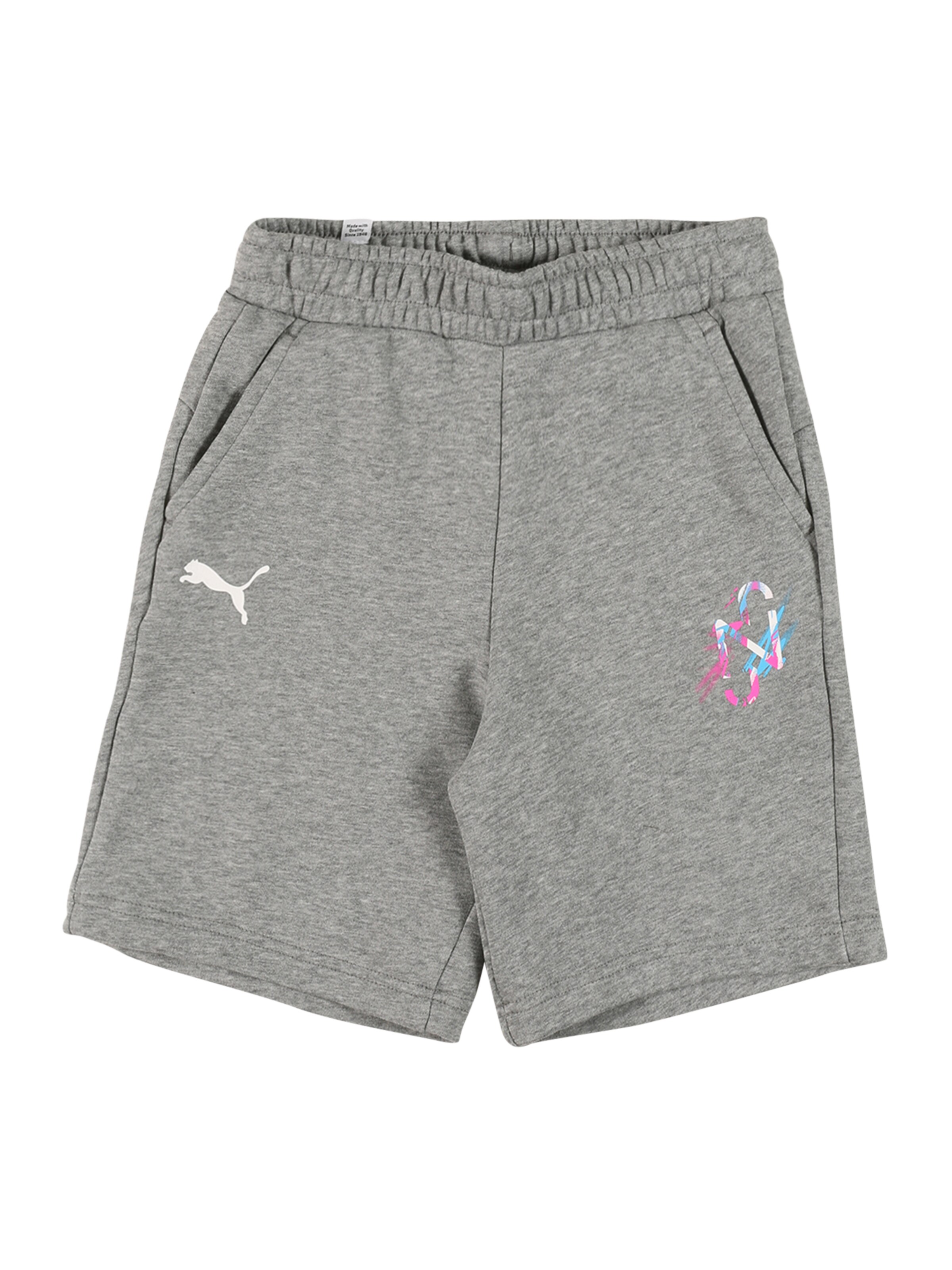 PUMA Regular Sportshorts 'Neymar' in Grau: Vorderseite