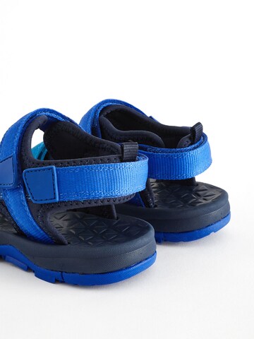Sandales Next en bleu