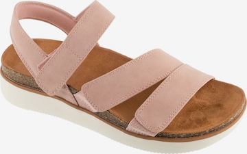 Sandales 'Skechers Lifted Comfort' SKECHERS en rose : devant