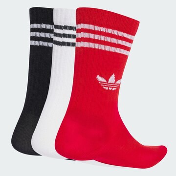 ADIDAS ORIGINALS Носки в Красный