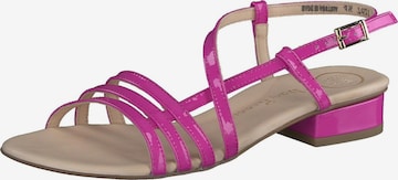 Paul Green Sandalen met riem in Roze: voorkant