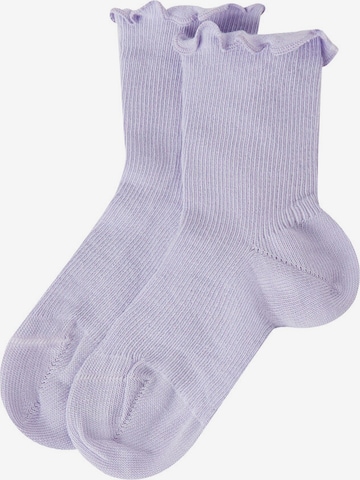 CALZEDONIA Socks in Purple: front