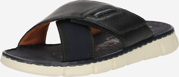 bugatti Pistokkaat värissä sininen: etupuoli