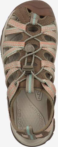 KEEN Sandals 'Whisper' in Green