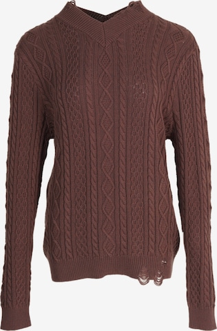 yoligex Sweter 'YOLIGEX Zopfmuster-Pullover Braun V-Ausschnitt' w kolorze brązowy: przód