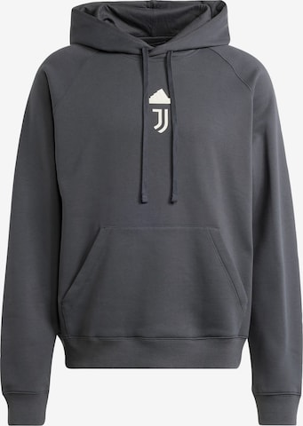 ADIDAS PERFORMANCE Sportpullover in Grau: predná strana