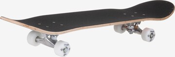 Playlife Skateboard-Komplettset 'Mighty Bear' in Mischfarben