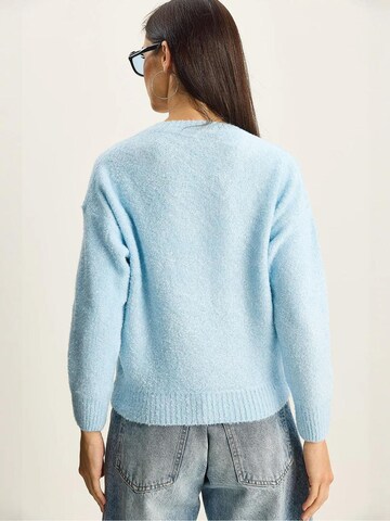 Bianco Lucci Pullover in Blau