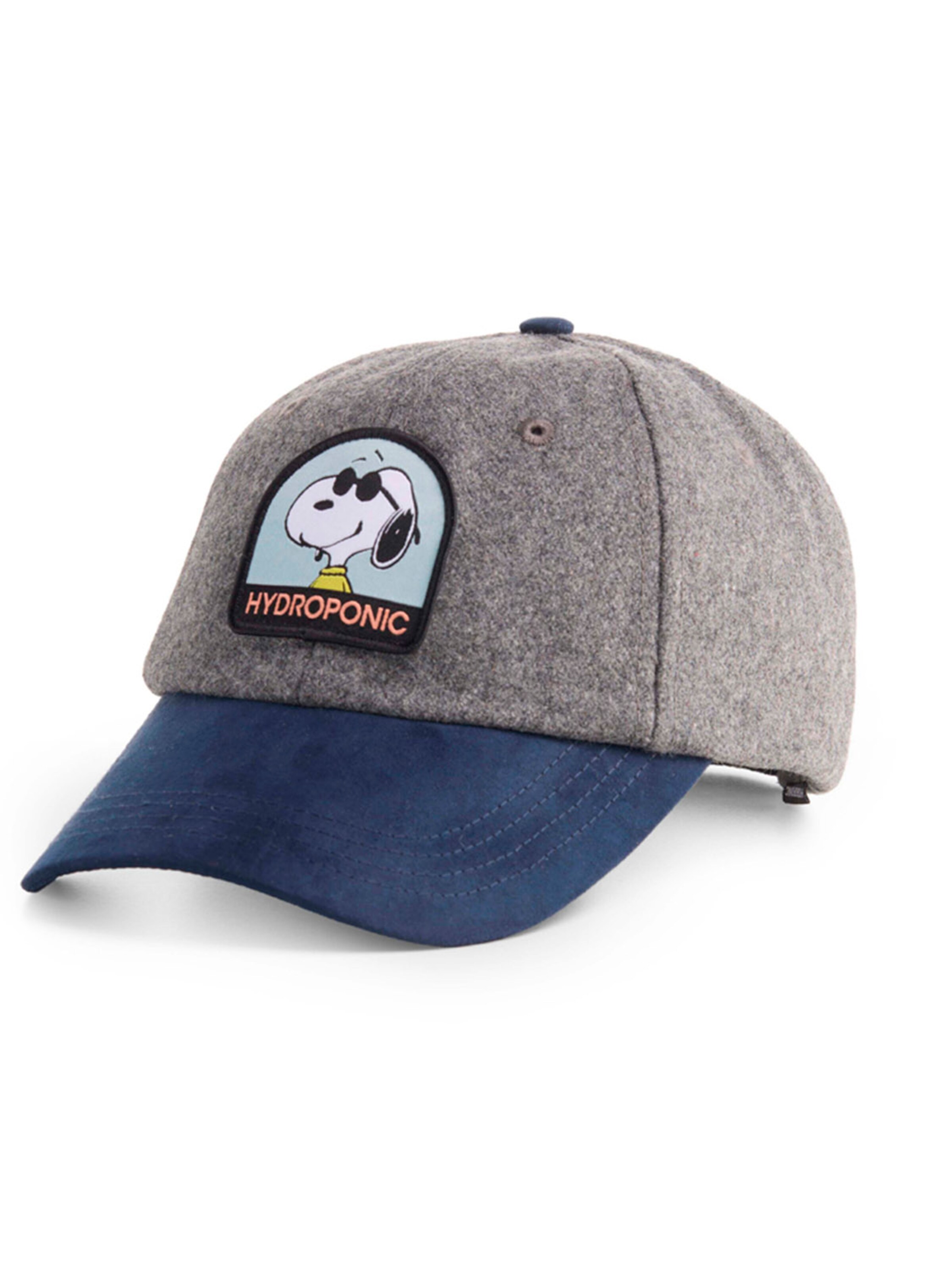 hydroponic - Gorra deportiva 'Hydroponic x Peanuts Cool Cap' en gris