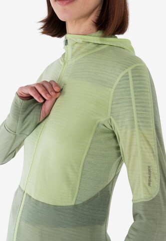 ICEBREAKER Athletic fleece jacket 'Realfleece Descender' in Green