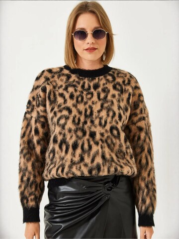 Bianco Lucci Sweater in Brown