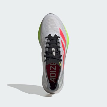 ADIDAS PERFORMANCE - Zapatillas de running 'Adizero Boston 12' en gris